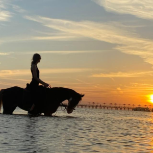 Horse Riding Beach Trip